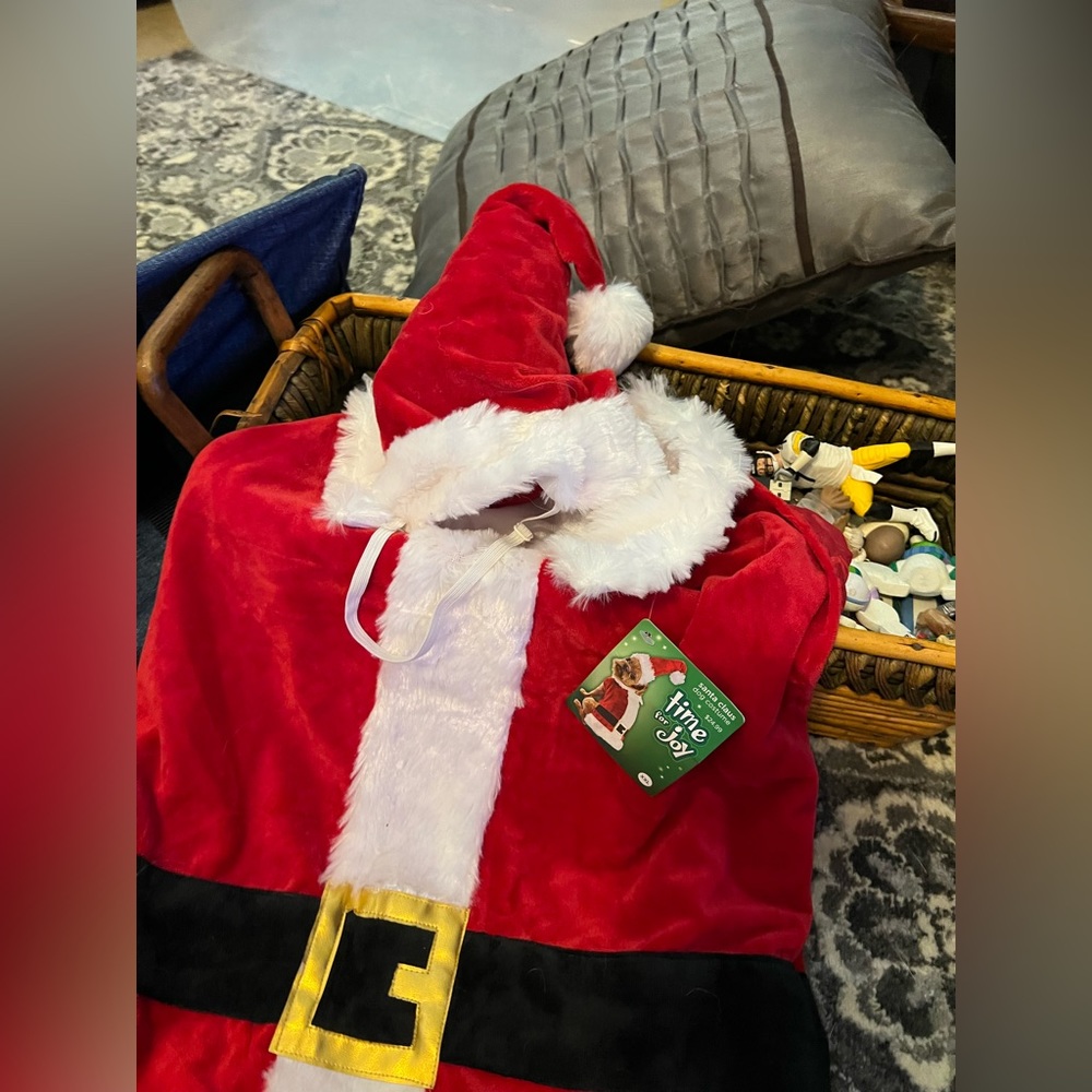 Santa Claus Dog Costume